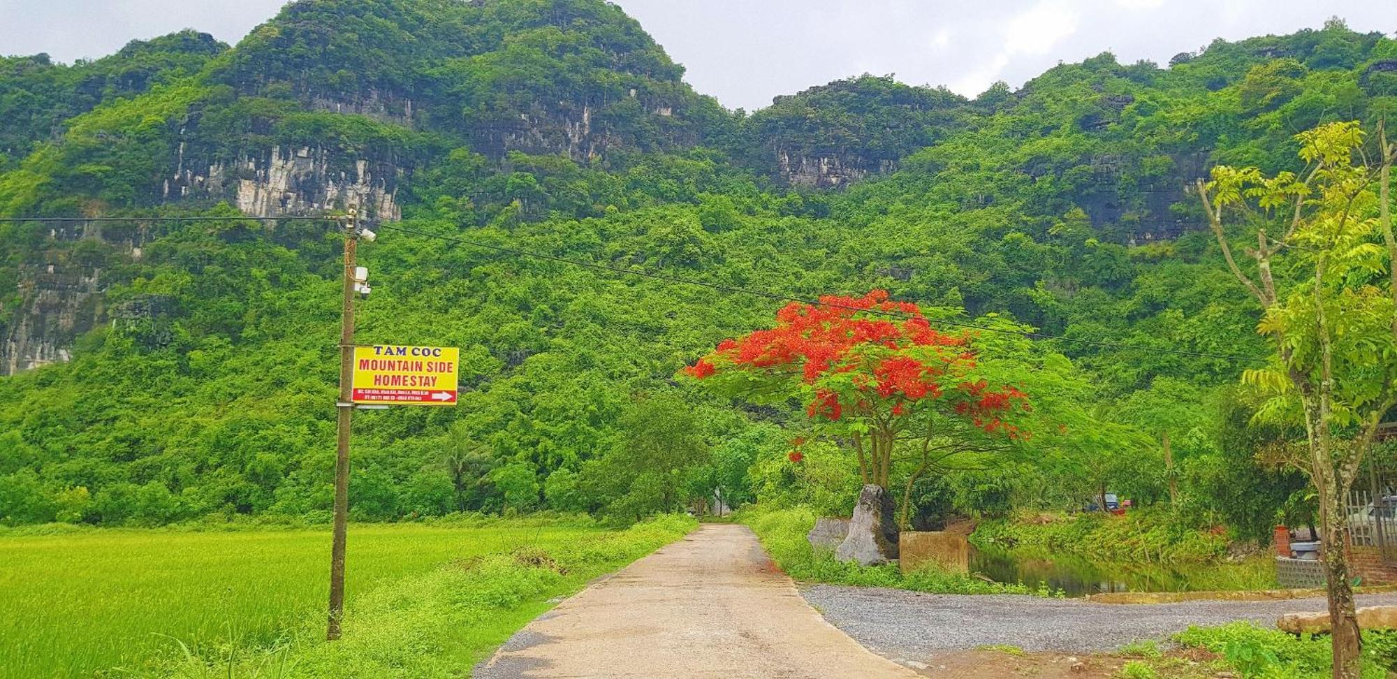 Tam Coc Moutainside Homestay นิญบิ่ญ ภายนอก รูปภาพ