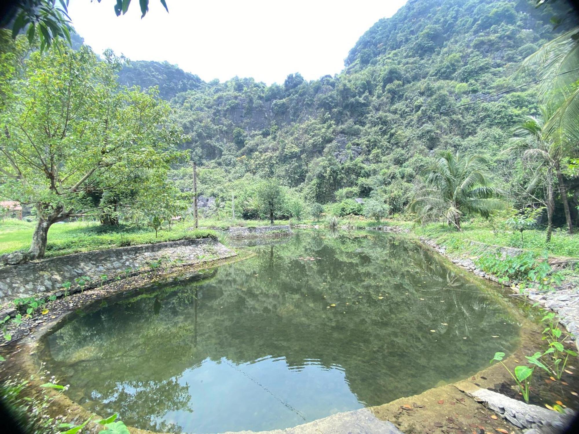 Tam Coc Moutainside Homestay นิญบิ่ญ ภายนอก รูปภาพ