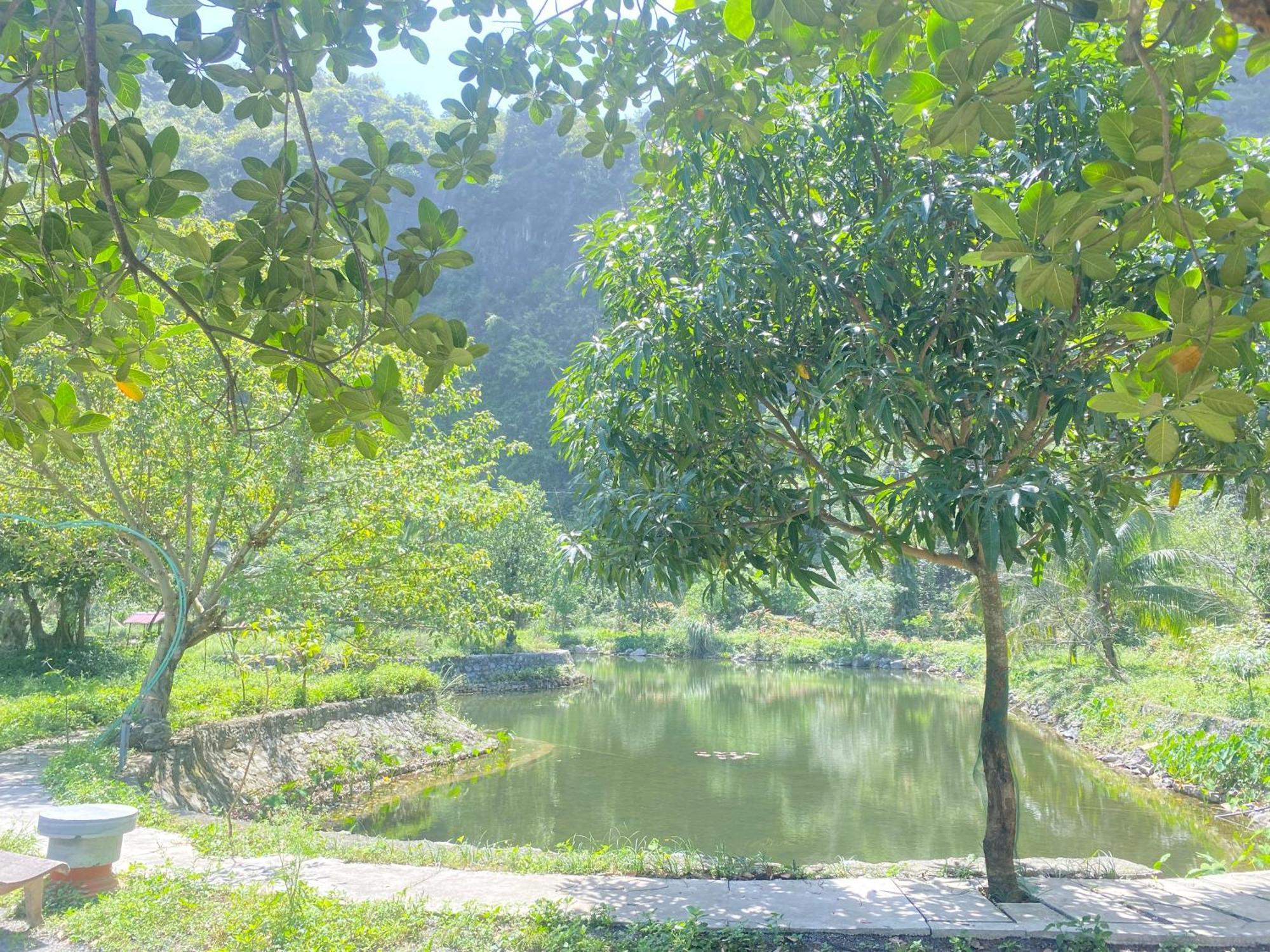 Tam Coc Moutainside Homestay นิญบิ่ญ ภายนอก รูปภาพ